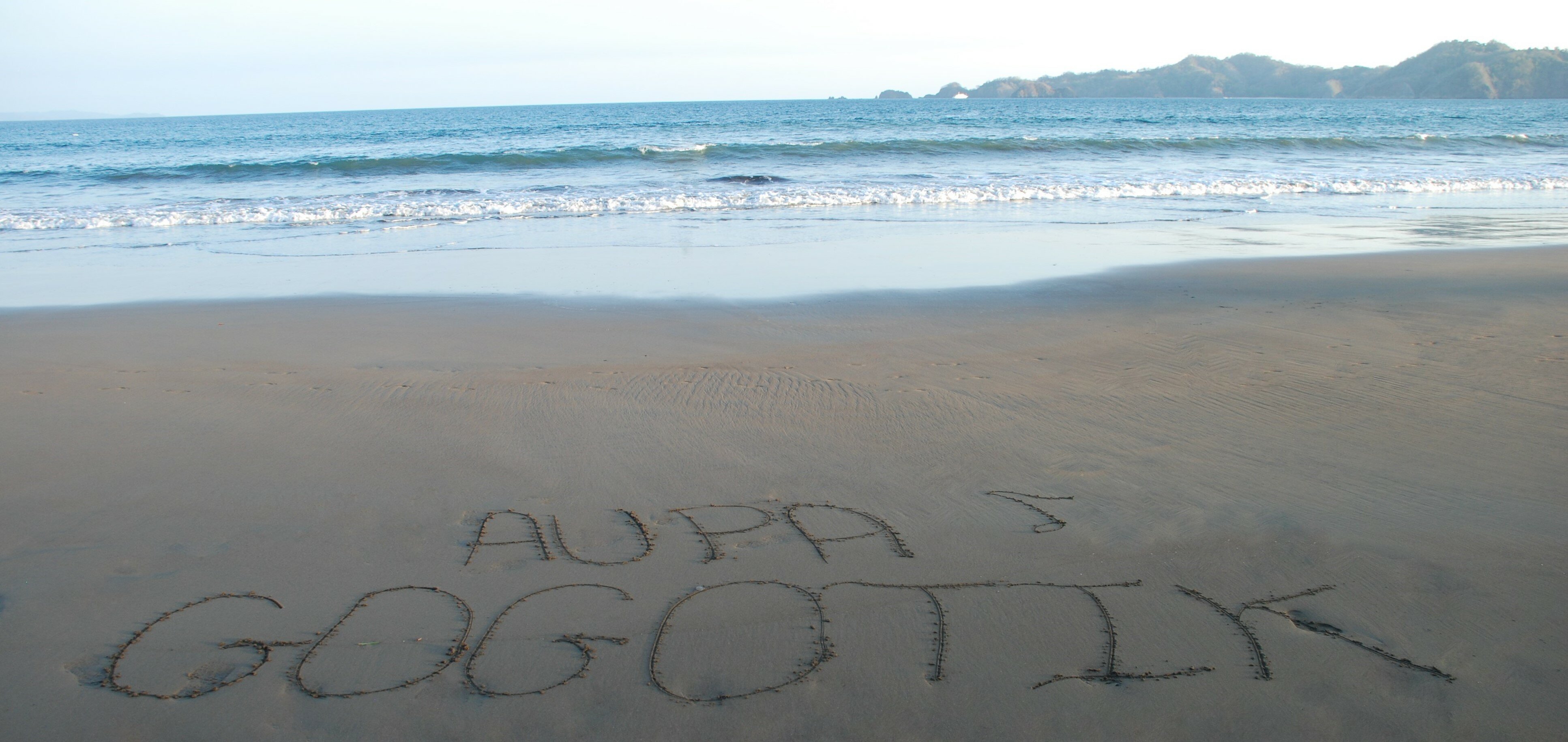 DSC_0552 - Copie
